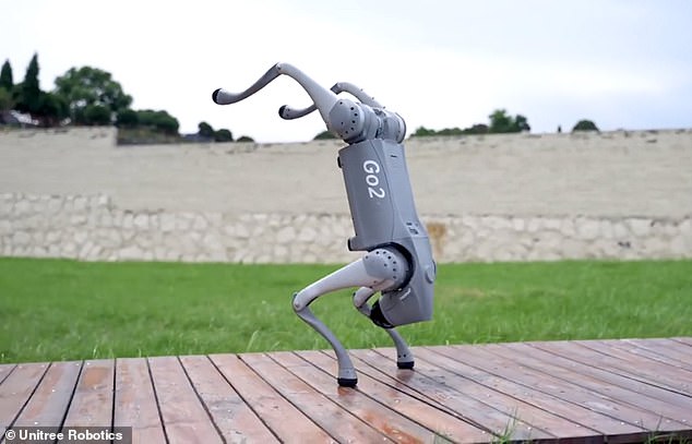 2025_fb_robotics.jpg